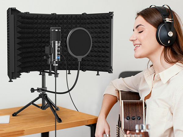 pc microphone