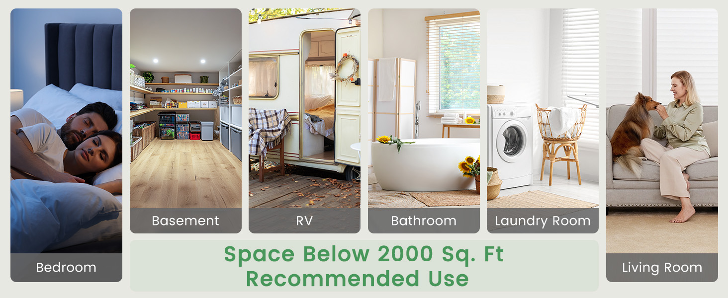 Energy Star Dehumidifier for Basement