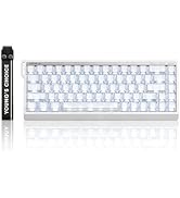 FKZ MCHOSE Ace 68 V2 Rapid Trigger Gaming Keyboard, 65% Hall Effect Magnetic Switch 0.001mm Adjus...