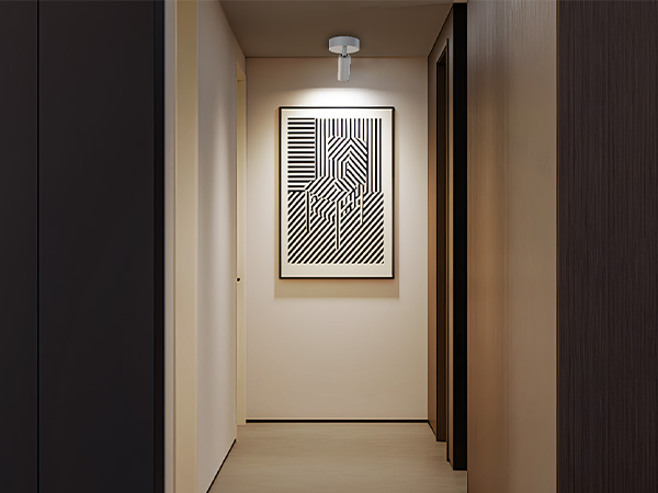 downlight