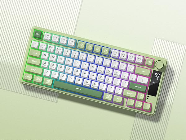 Mechanical Keyboard with PBT Keycaps