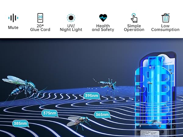 Burlan fruit fly traps for indoors
