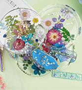 Pressed Flowers
