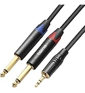 TISINO 1/8 to 1/4 Stereo Cable, 1/8 Inch TRS Stereo to Dual 1/4 inch TS Mono Y-Splitter Cable 3.5...