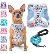 BEAUTYZOO Step in Dog Harness and Leash Set, Floral Pattern Reflective Dog Harness No Pull No Cho...