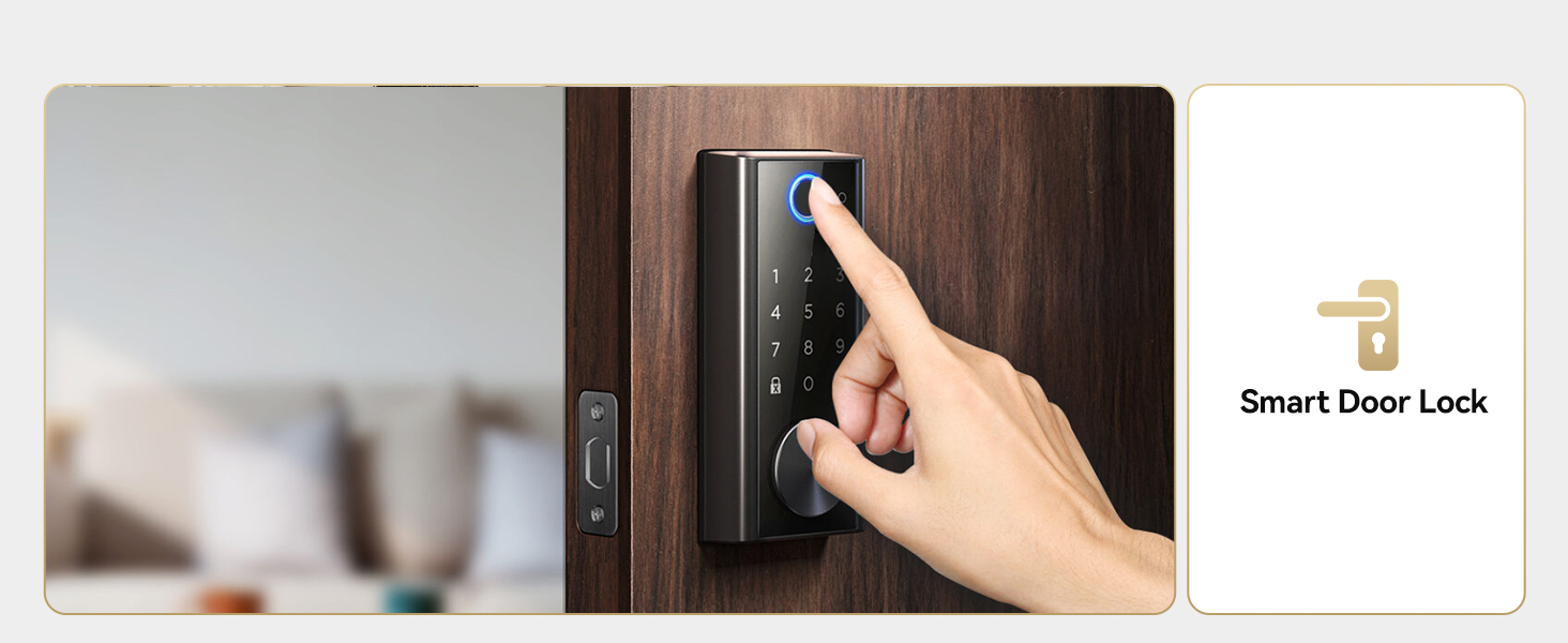 Rechargeable AA Lithium Battery