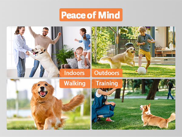 guodun armor dog bark deterrent devices bark buster dog bark deterrent devices bark guard for dogs