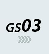 gs03