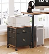 File Cabinet, 2-Drawer Filing Cabinet, Vertical Mobile Office Cabinet, Rolling Printer Stand