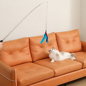 cat wand toys 6