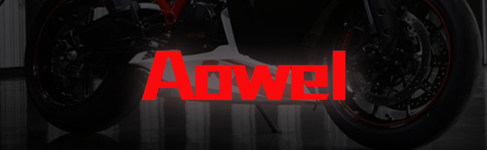 Aowel trickle charger