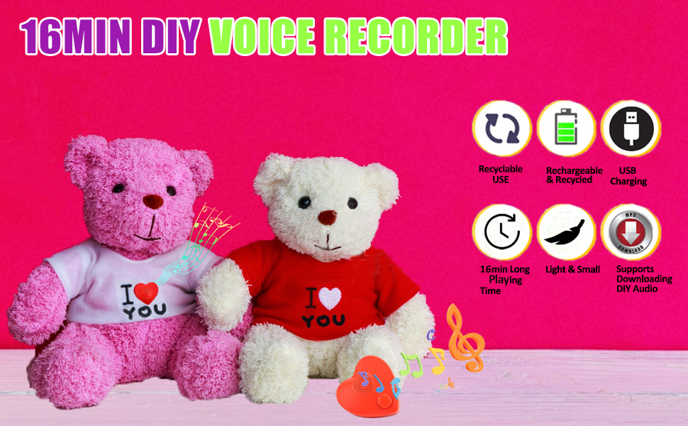 voice recorder