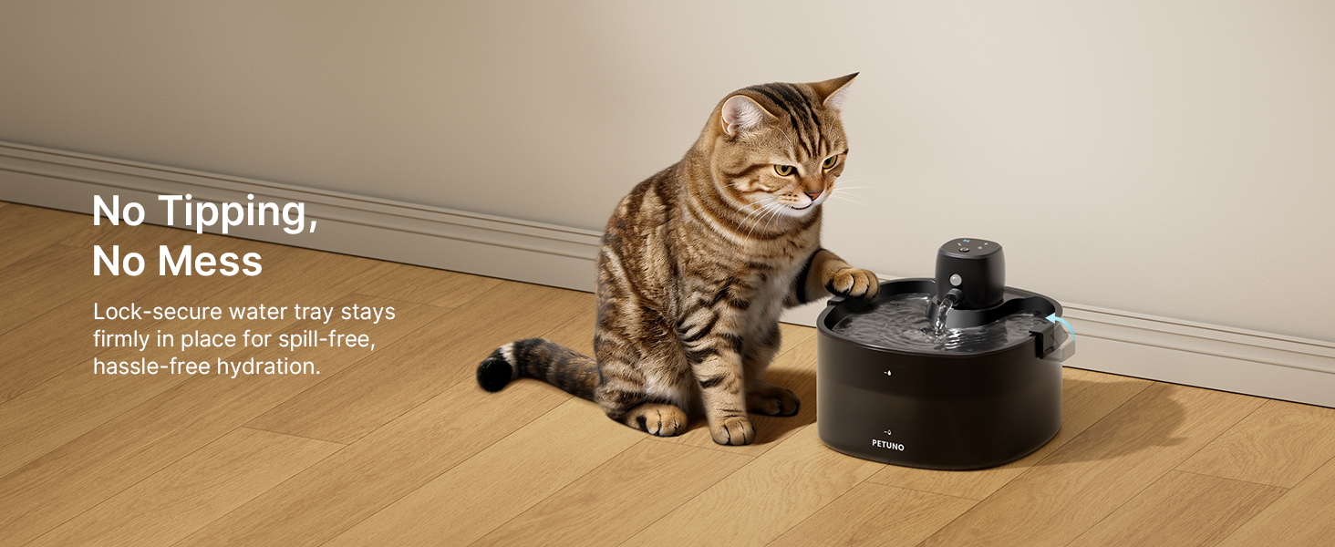 cat water fountain