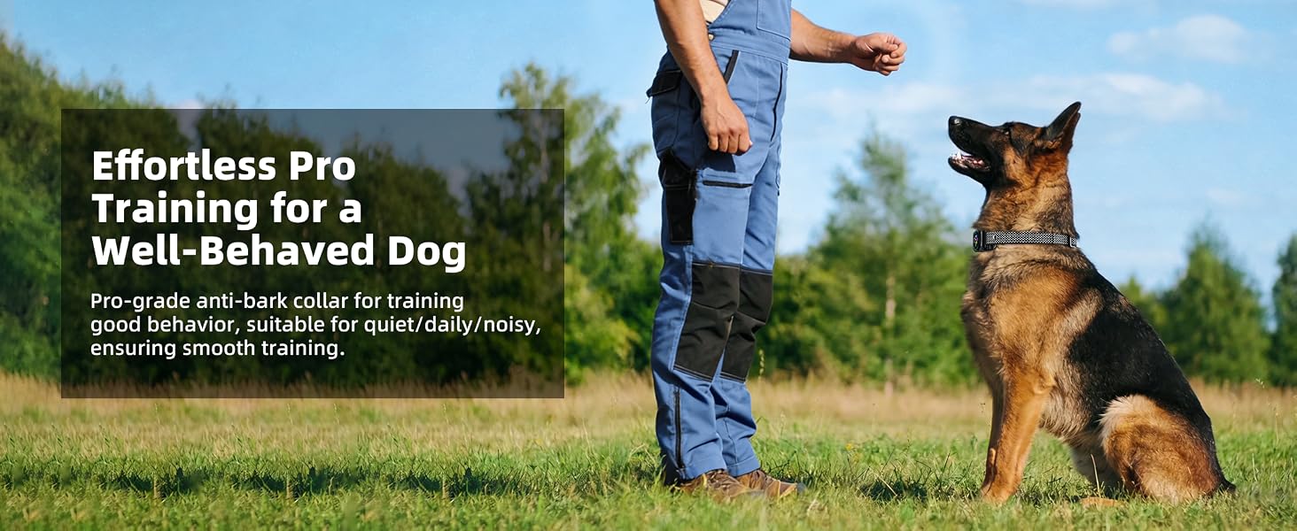 BARK COLLAR