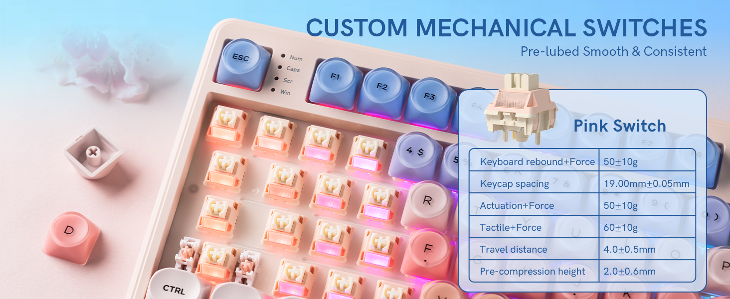 CUSTOM SWITCHES