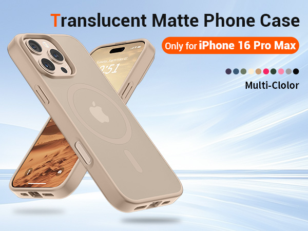 iPhone 16 Pro Max case