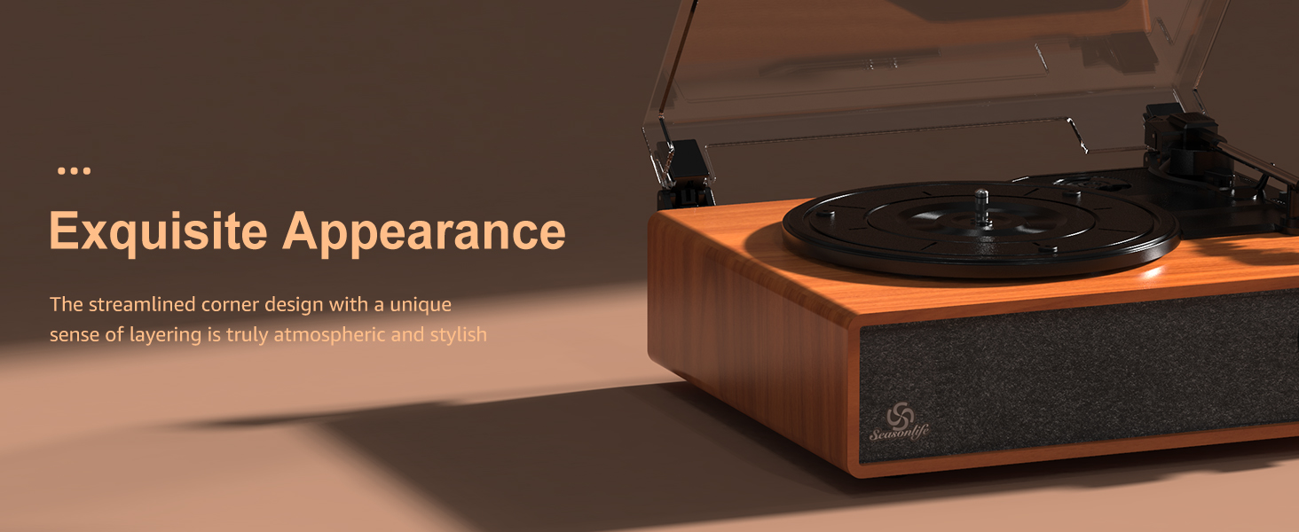 turntable for vinyl records