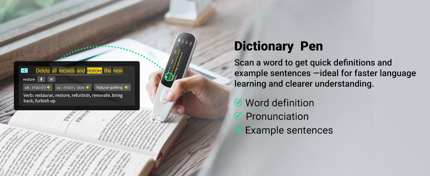 Dictionary pen
