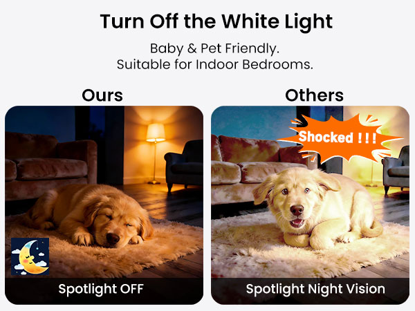 Baby and Pet Friendly