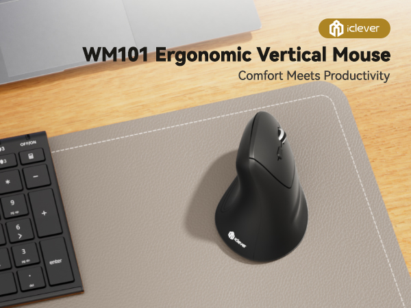 Ergonomic Mouse