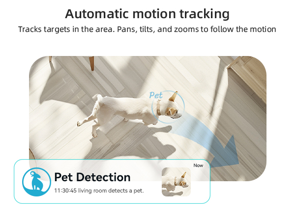 dog camera with motion tracking
