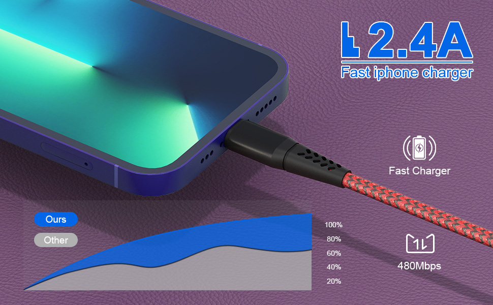Extra Long iPhone Charging Cord