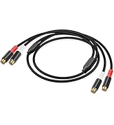 JSADZKJ 2RCA Female to 2 RCA Female Stereo Audio Cable Gold Plated 2Rca Subwoofer Adapter Audio C...