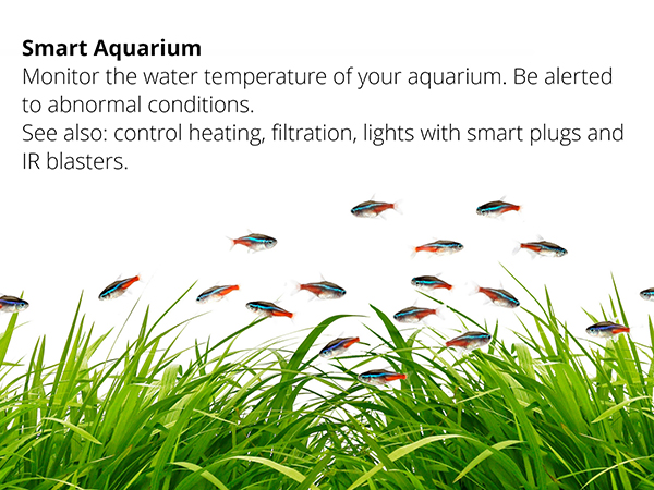 Smart Aquarium