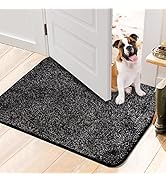 Walensee Indoor Doormat, Front Door Mat for Entrance (36