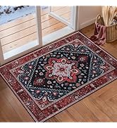 Ciicool Washable Vintage Area Rug, 2x3ft Small Boho Rug, Ultra Soft Rugs for Entryway, Non-Slip E...