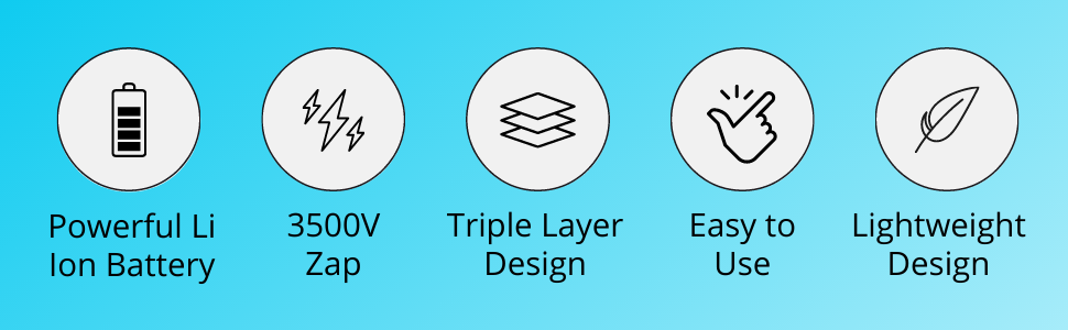 ostad fly swatting racket