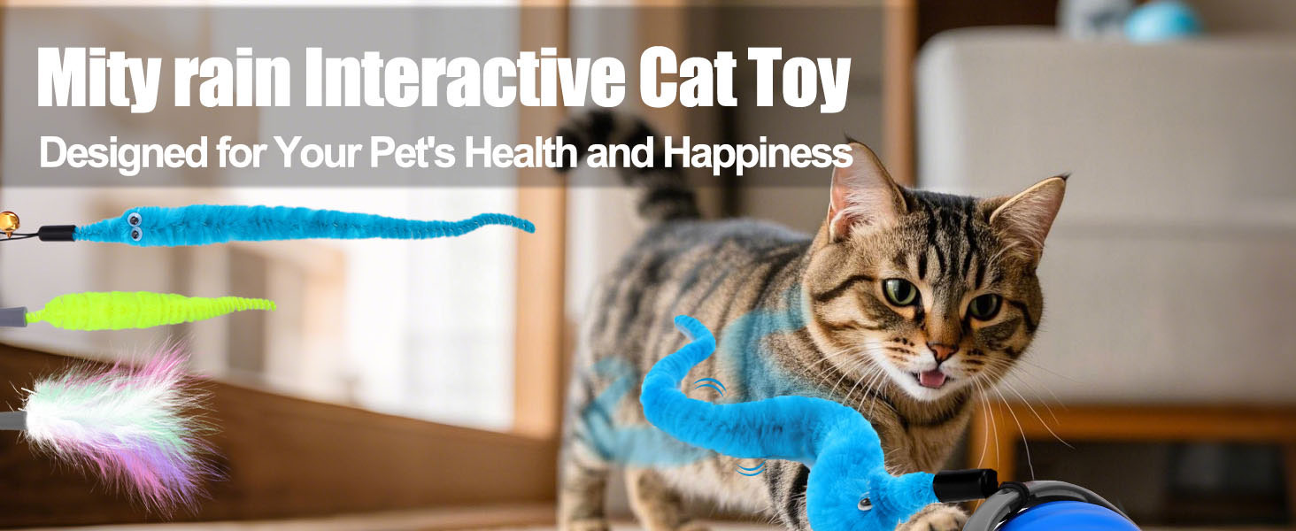 cat toy