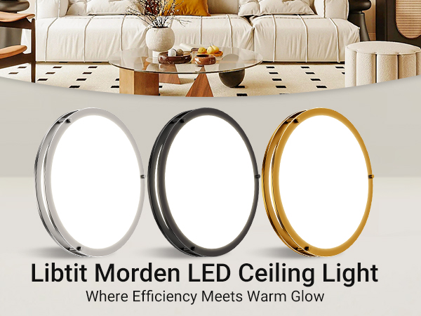 morden ceiling light fixture