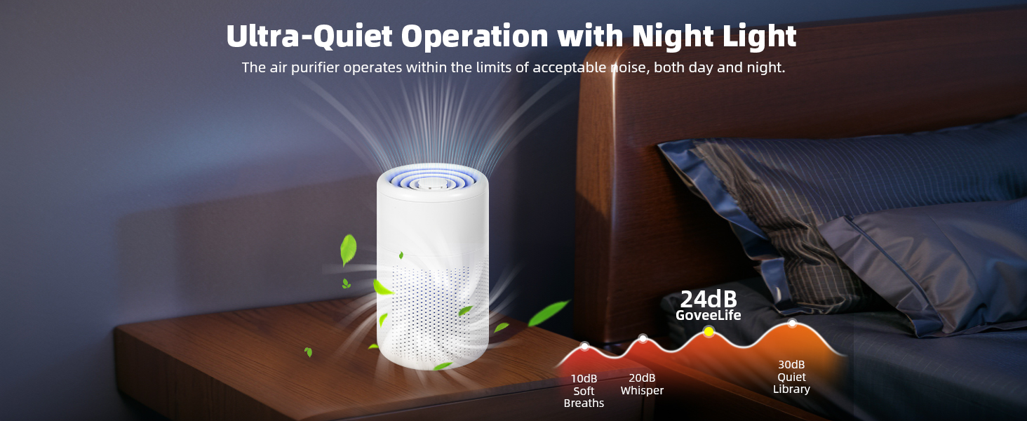 Mini Air Purifier
