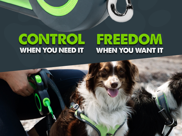 retractable dog leash 