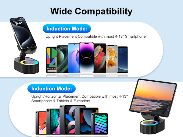induction speaker
