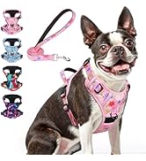 BEAUTYZOO No Pull Dog Harness for Large Dogs, Dog Harness and Leash Set, Adjustable Soft Padded, ...