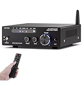 AK-3116 HiFi Stereo Audio Amplifier, 2.0 Channel 100W x 2 Mini Bluetooth Amplifier Class D Digita...