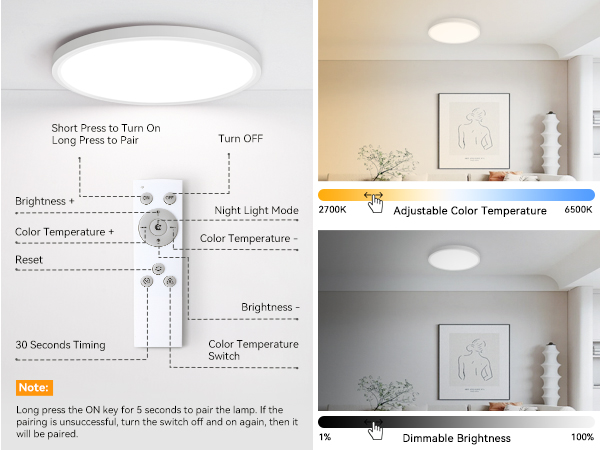 flush mount ceiling light