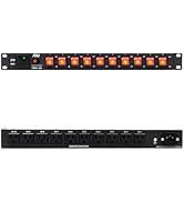 ThePoEstore 1U PDU Network Rackmount with Surge Protector Horizontal Rack Power Strip, (SPD-10KA)...