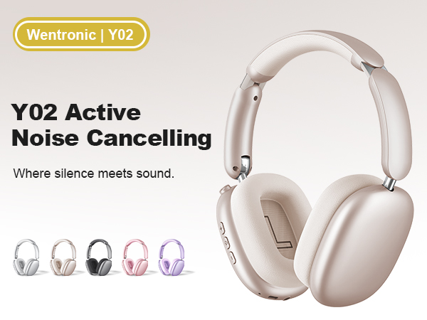 Wentronic Y02 Hybrid Active Noise Cancelling Wireless Headphones