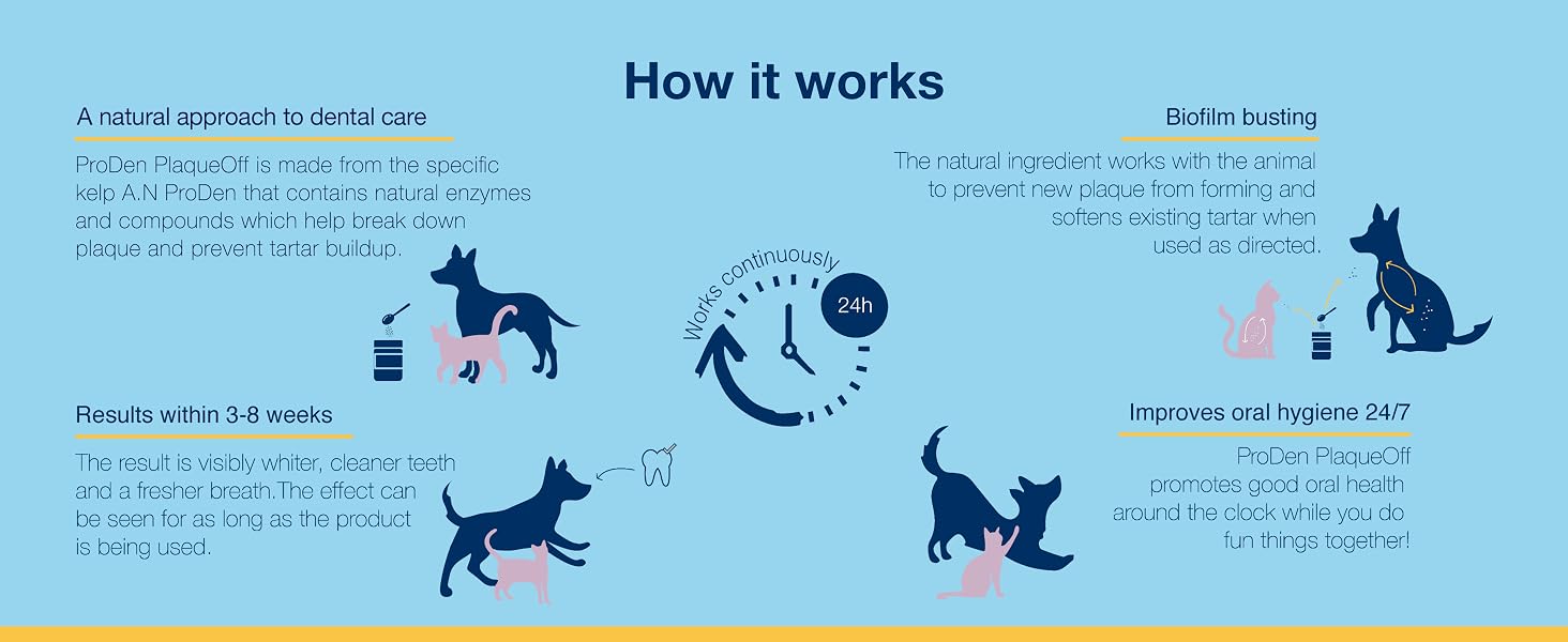 How ProDen works