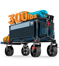 https://m.media-amazon.com/images/S/aplus-media-library-service-media/2a91e3cd-f92d-4fd5-bcc9-8000f2fc9b71.__CR0,0,200,225_PT0_SX200_V1___.jpg