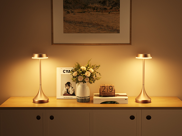 battery lamps for home cordless