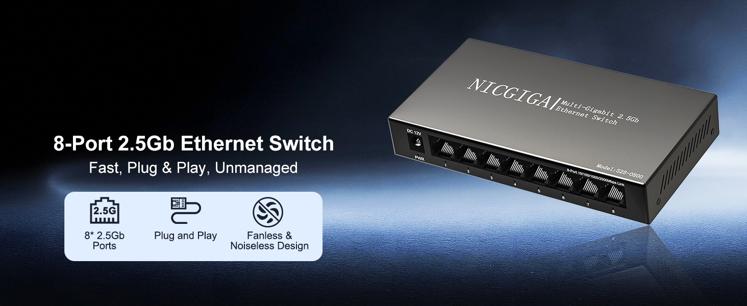 2.5g switch