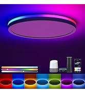 Matane Smart LED Ceiling Light WiFi, RGB Ceiling Light Fixture, 12IN Flush Mount Light Fixture, 1...