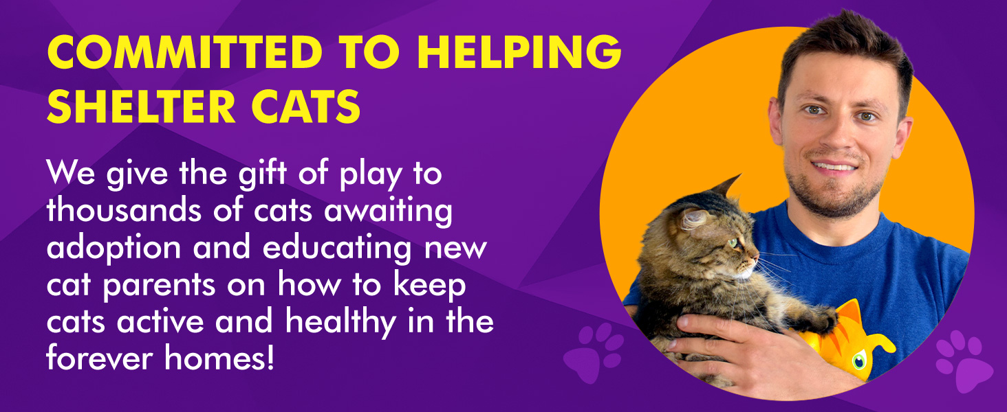 Cat Amazing donates cat toys, interactive cat toy, interactive feeder, cat enrichment, cat puzzles