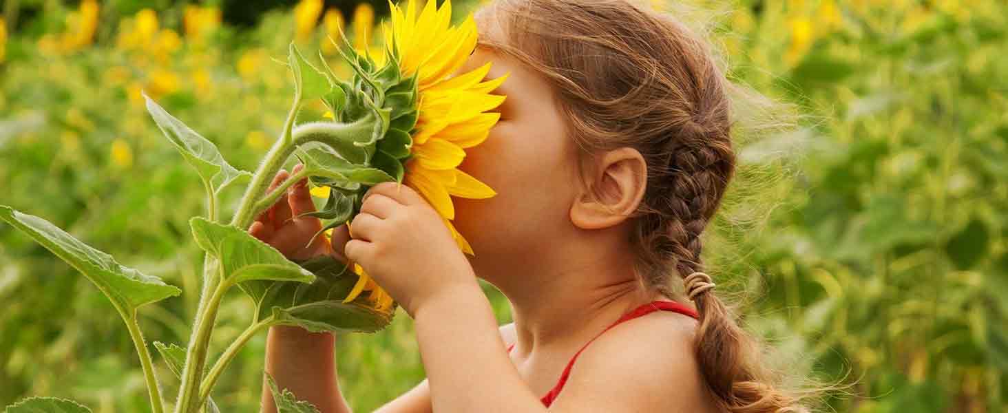 LQ-Mini-AA-1464-A09B