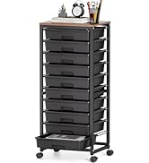 SYKIARIOL Rolling Cart with Drawers,10 Drawer Rolling Cart,Storage Cart,Utility Cart,Teacher Cart...