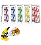 Ninyoon 60pcs Microscope Slides with Specimens for Kids – Kids Prepared Stereo Microscope Slides ...